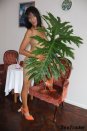 Escorts Virginty in Garsfontein No:5